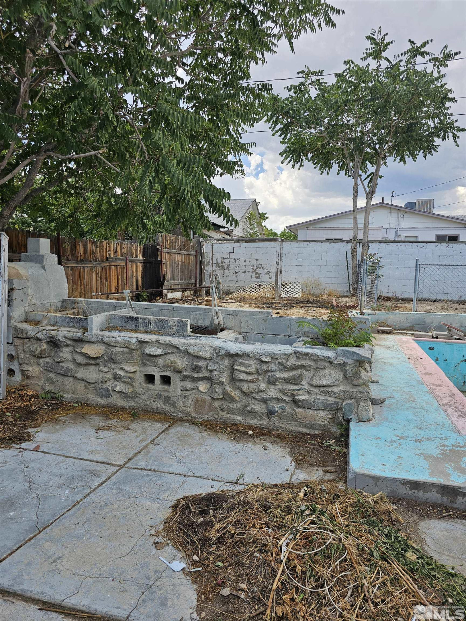116 English Street Hawthorne, NV 89415 - Photo 16 of 18 a view of a yard with plants and trees