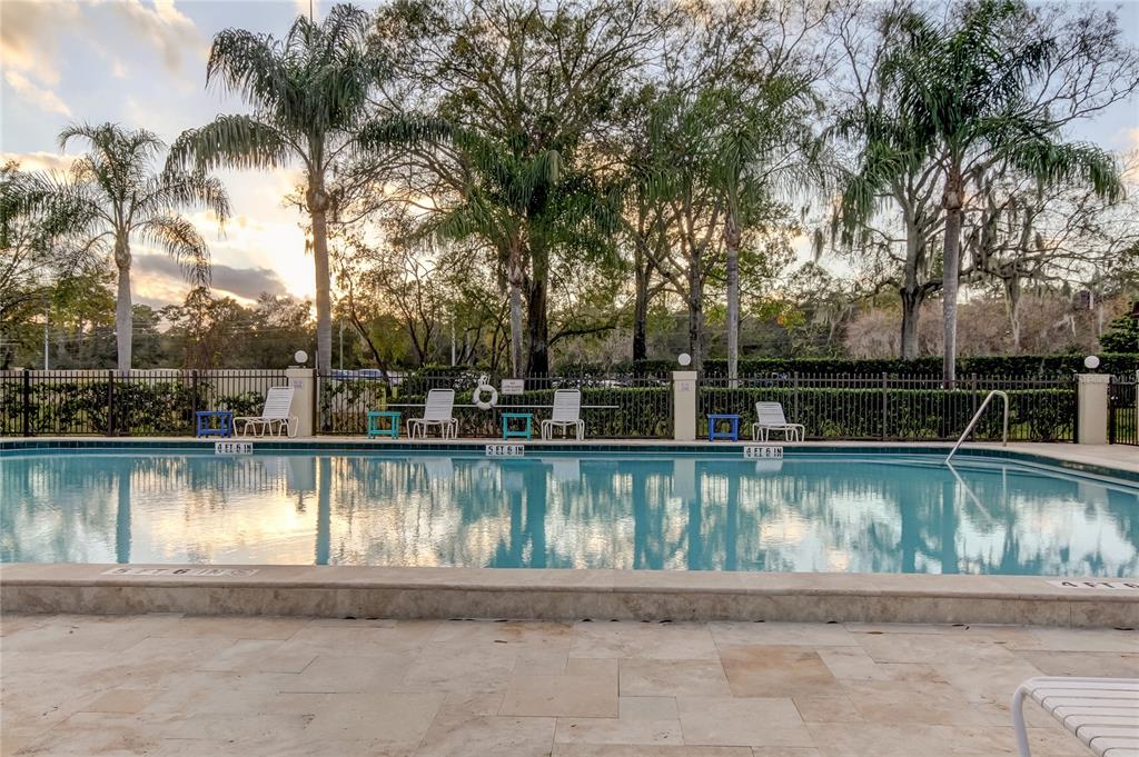 1801 East Lake Road South, Unit 12C Palm Harbor, FL 34685 - Photo 11 of 24 a view of a lake view