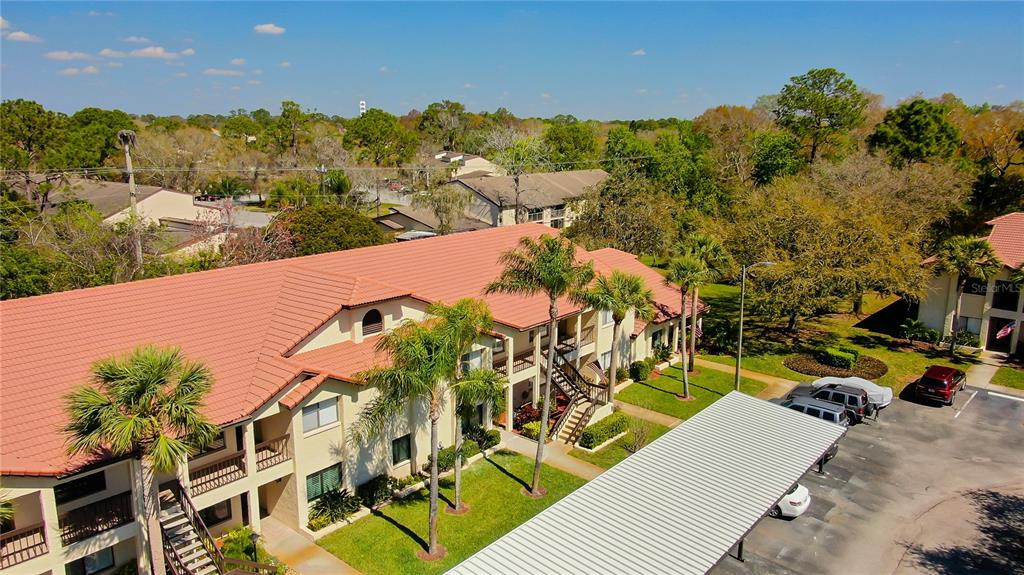 1801 East Lake Road South, Unit 12C Palm Harbor, FL 34685 - Photo 4 of 24 a view of a swimming pool with lawn chairs