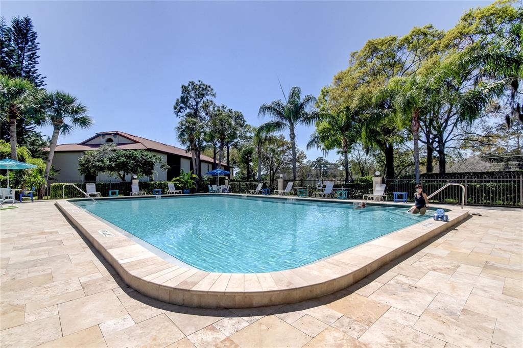 1801 East Lake Road South, Unit 12C Palm Harbor, FL 34685 - Photo 5 of 24 a view of a swimming pool with a lounge chair