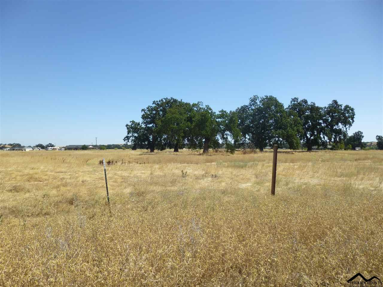 0 Poppy Ridge Road Corning, CA 96029 - Photo 1 of 1