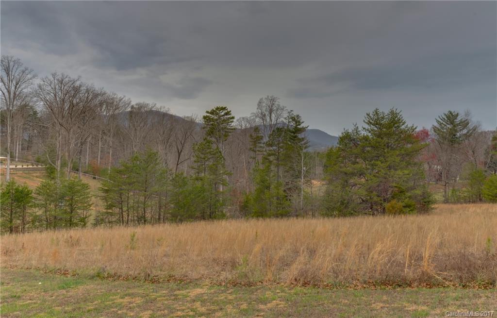 1860 Hugh Champion Road Tryon, NC 28782 - Photo 22 of 24