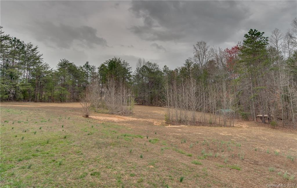 1860 Hugh Champion Road Tryon, NC 28782 - Photo 23 of 24