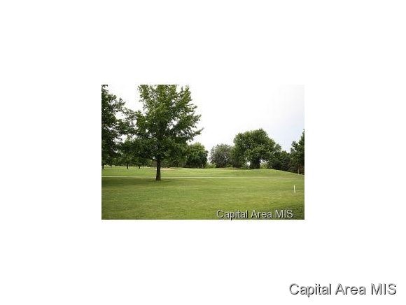 316 Sebring Road Sherman, IL 62707 - Photo 2 of 11 Gallery Image 2