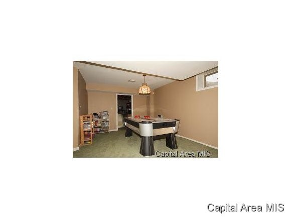 316 Sebring Road Sherman, IL 62707 - Photo 10 of 11 Gallery Image 10