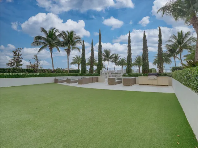 a view of a yard with a palm tree