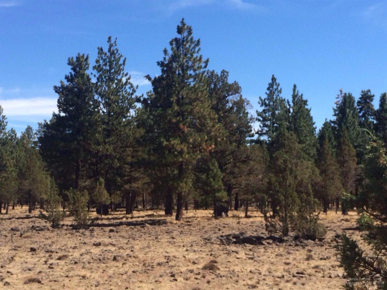 16199 Foothill Loop Sisters, OR 97759 - Photo 12 of 17 Ponderosa Pines obscure the view of neig