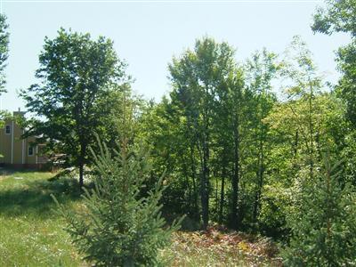 9149 North Ervin Road Free Soil, MI 49411 - Photo 4 of 20 Additional Photo