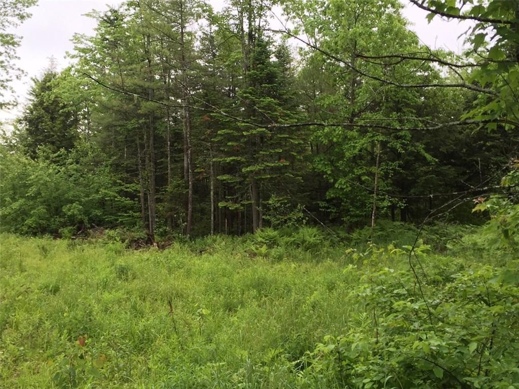 Tbd Glassface Road Rumford, ME 04276 - Photo 17 of 21 Photo