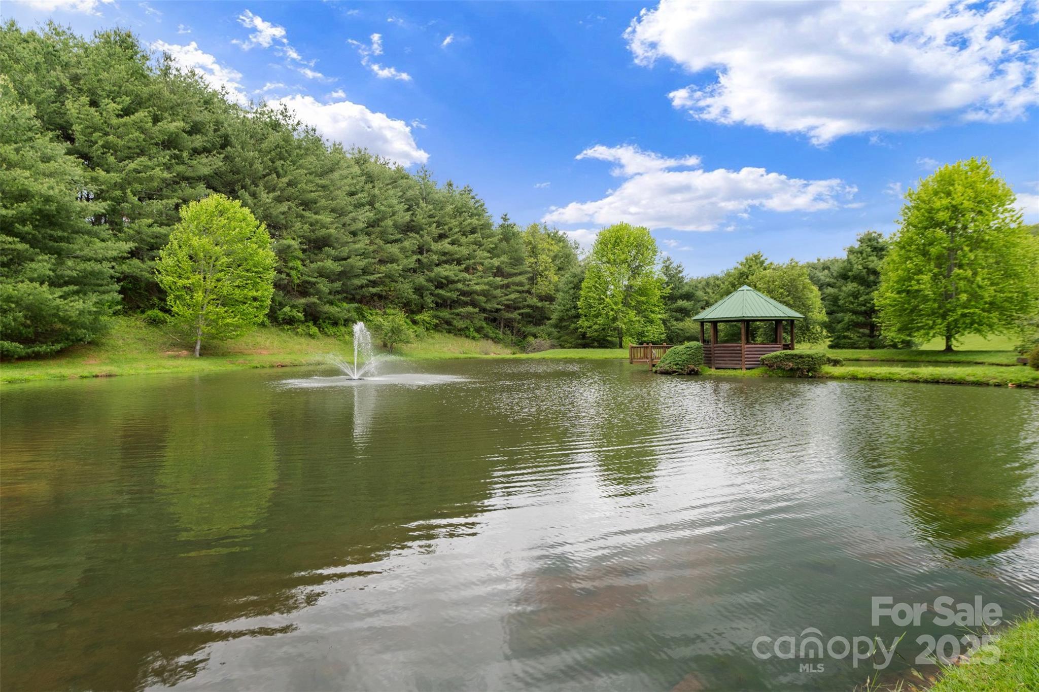 29 Pond View Lane, Unit 29 Sparta, NC 28675 - Photo 6 of 30 a view of a lake with a yard