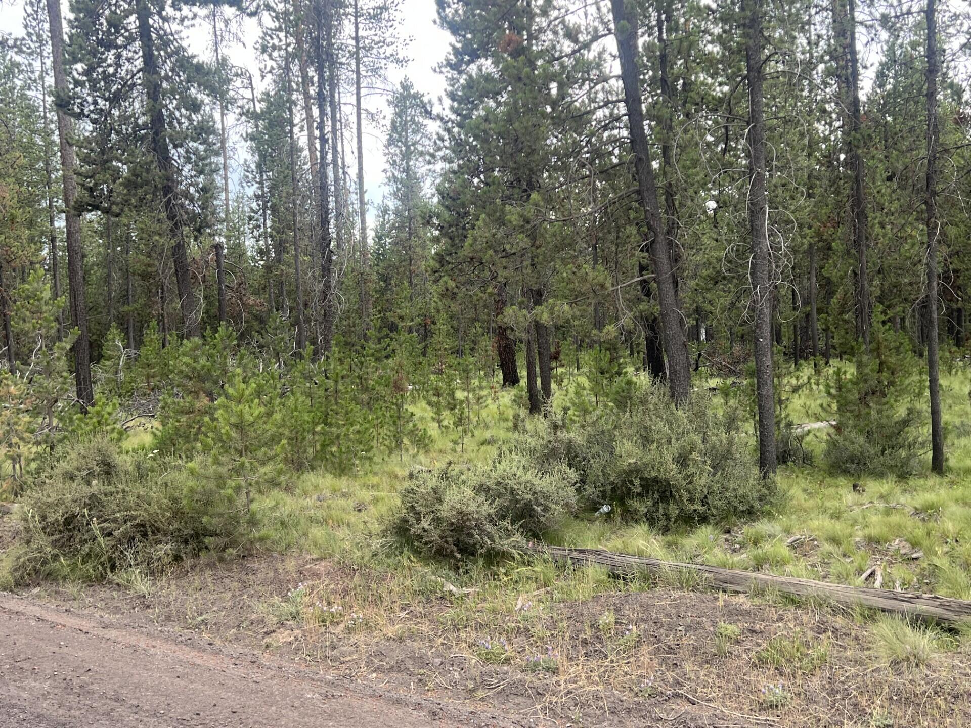 55975 Savage Road Bend, OR 97707 - Photo 2 of 5 thumbnail_IMG_5995