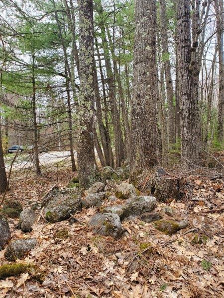 236 South Livermore Road Turner, ME 04282 - Photo 12 of 14 12