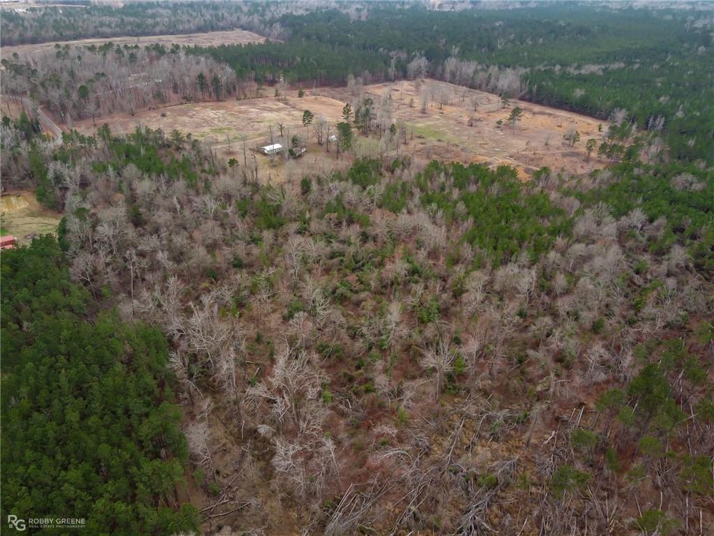 229 Padgett Road Benton, LA 71006 - Photo 2 of 6 a view of a dry yard with green space and fog