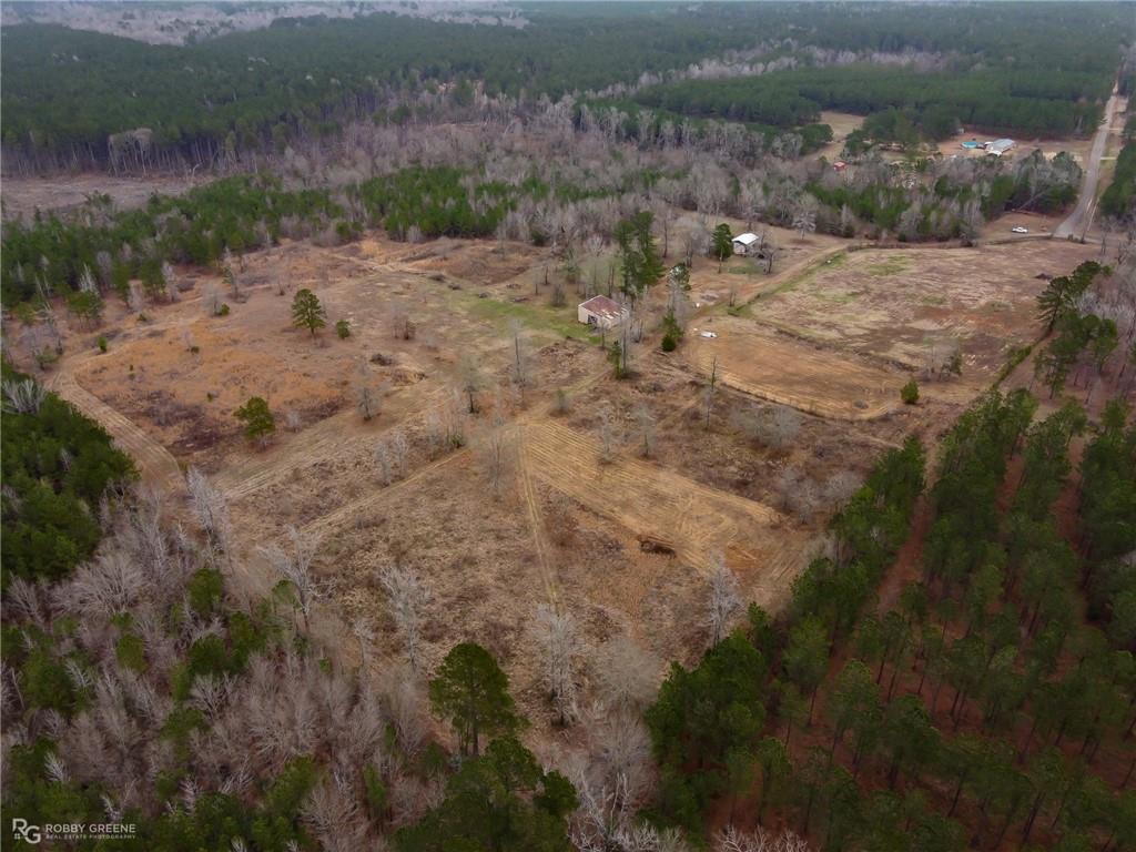 229 Padgett Road Benton, LA 71006 - Photo 4 of 6 a view of a yard with a mountain