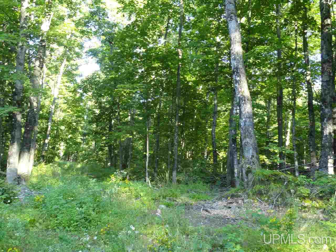 80 SOUTH Off Co Road Ishpeming, MI 49849 - Photo 12 of 20
