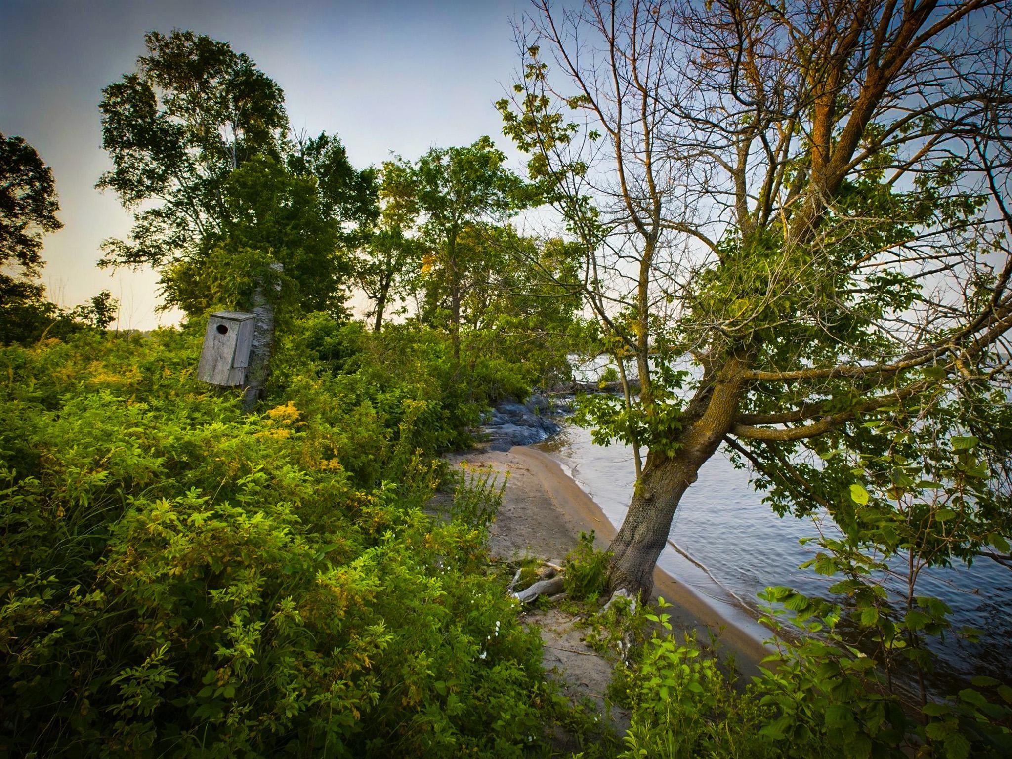 1 Birch Island Angle Inlet, MN 56711 - Photo 31 of 42