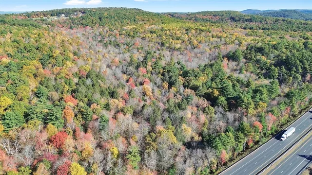 a view of a city with lush green forest