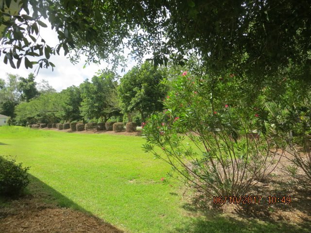 4503 Crossing Rocks Road Tallahassee, FL 32301 - Photo 14 of 18 Gallery Image 14