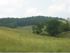 10 11 Hales Chapel Road Gray, TN 37615 - Photo 1 of 1 Photo 1