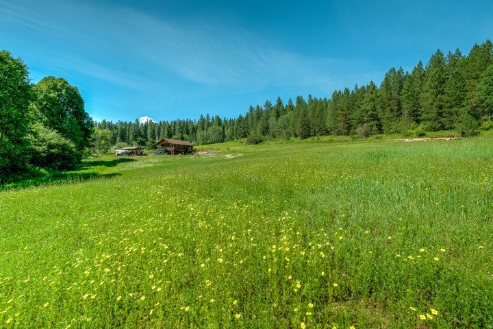 23605 North Dunn Road Chattaroy, WA 99003 - Photo 15 of 20 Gallery Image 15