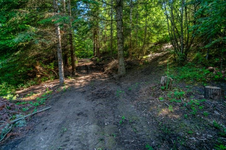 23605 North Dunn Road Chattaroy, WA 99003 - Photo 17 of 20 Gallery Image 17