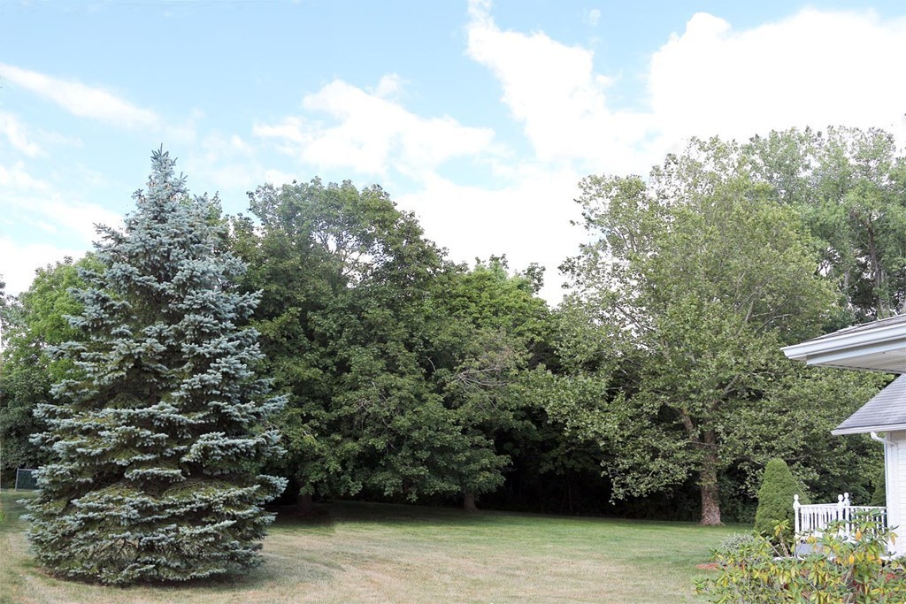 96 Butternut Hollow Road West Springfield, MA 01089 - Photo 26 of 29 Gallery Image 26