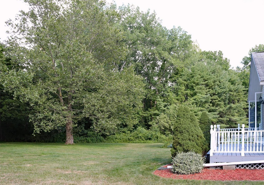 96 Butternut Hollow Road West Springfield, MA 01089 - Photo 28 of 29 Gallery Image 28