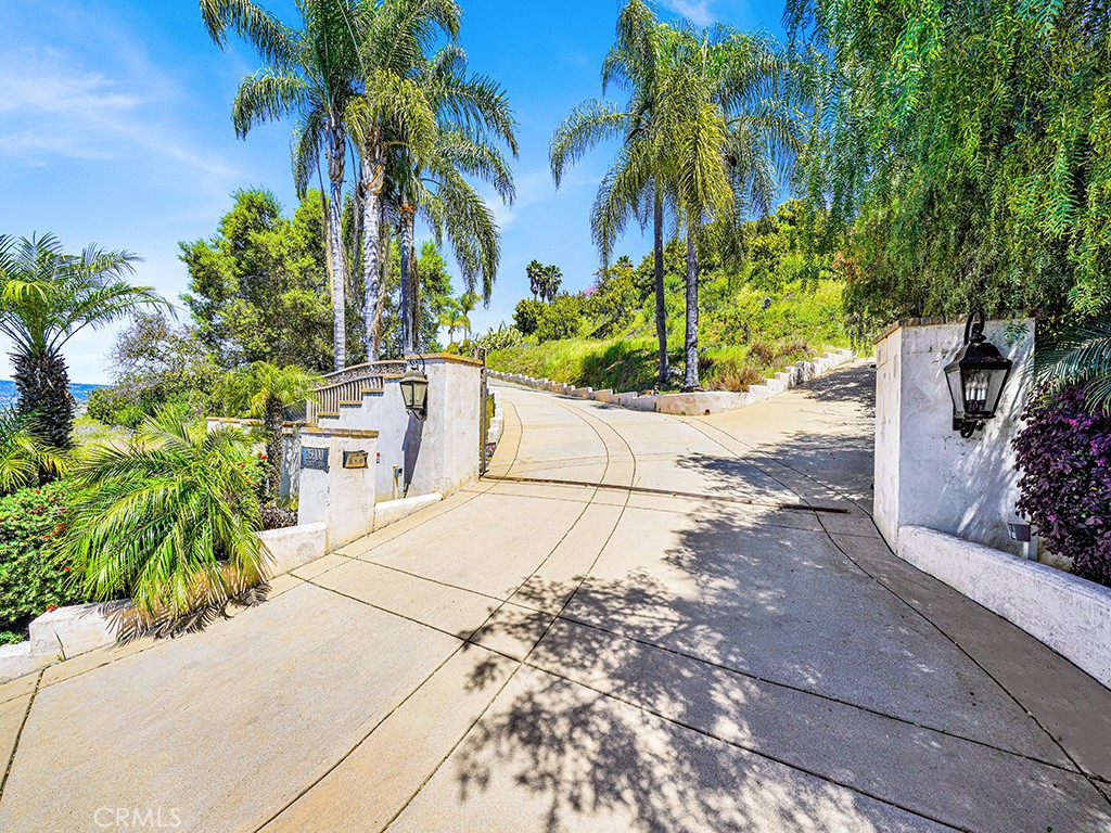 25900 Carancho Road Temecula, CA 92590 - Photo 21 of 58 a view of outdoor space with a potted plant