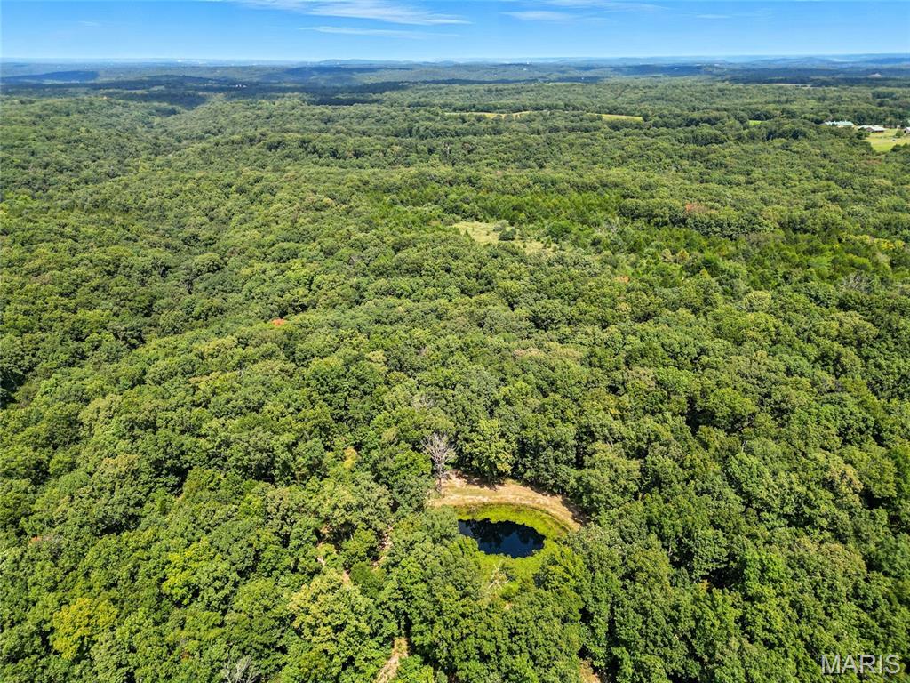 6252 Charter Church Road Festus, MO 63028 - Photo 26 of 30