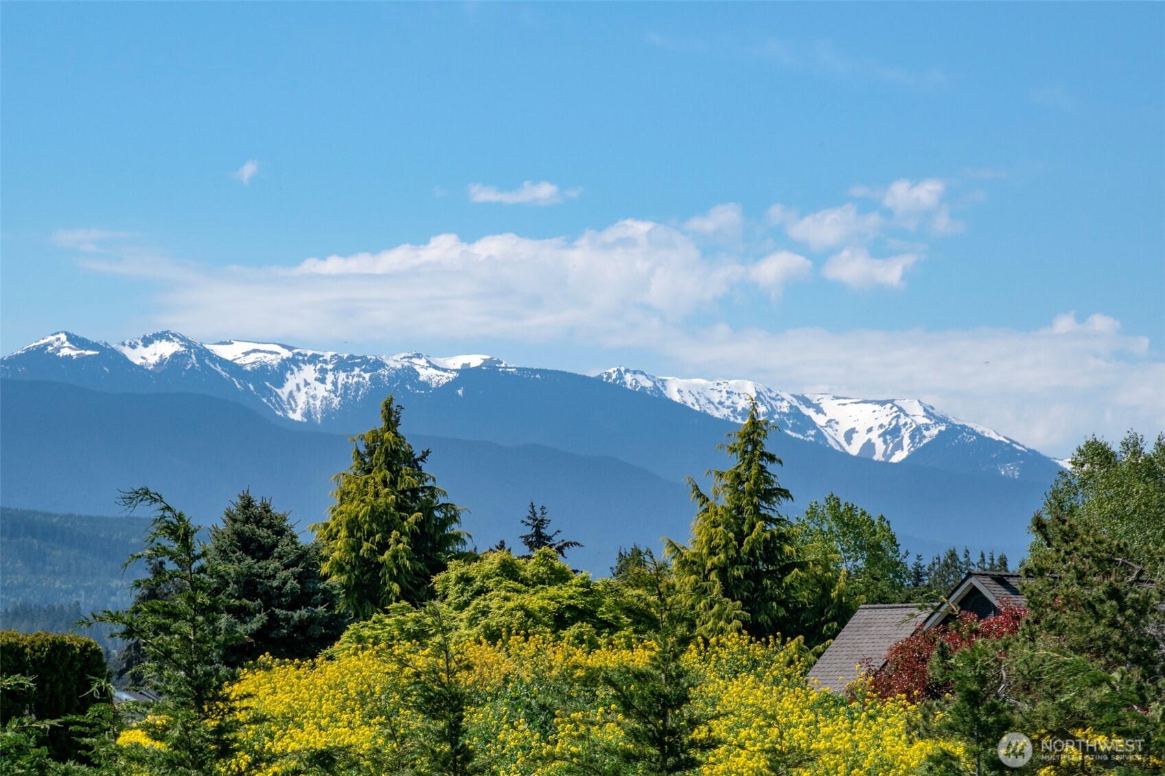 21 Donaper Road Sequim, WA 98382 - Photo 5 of 40