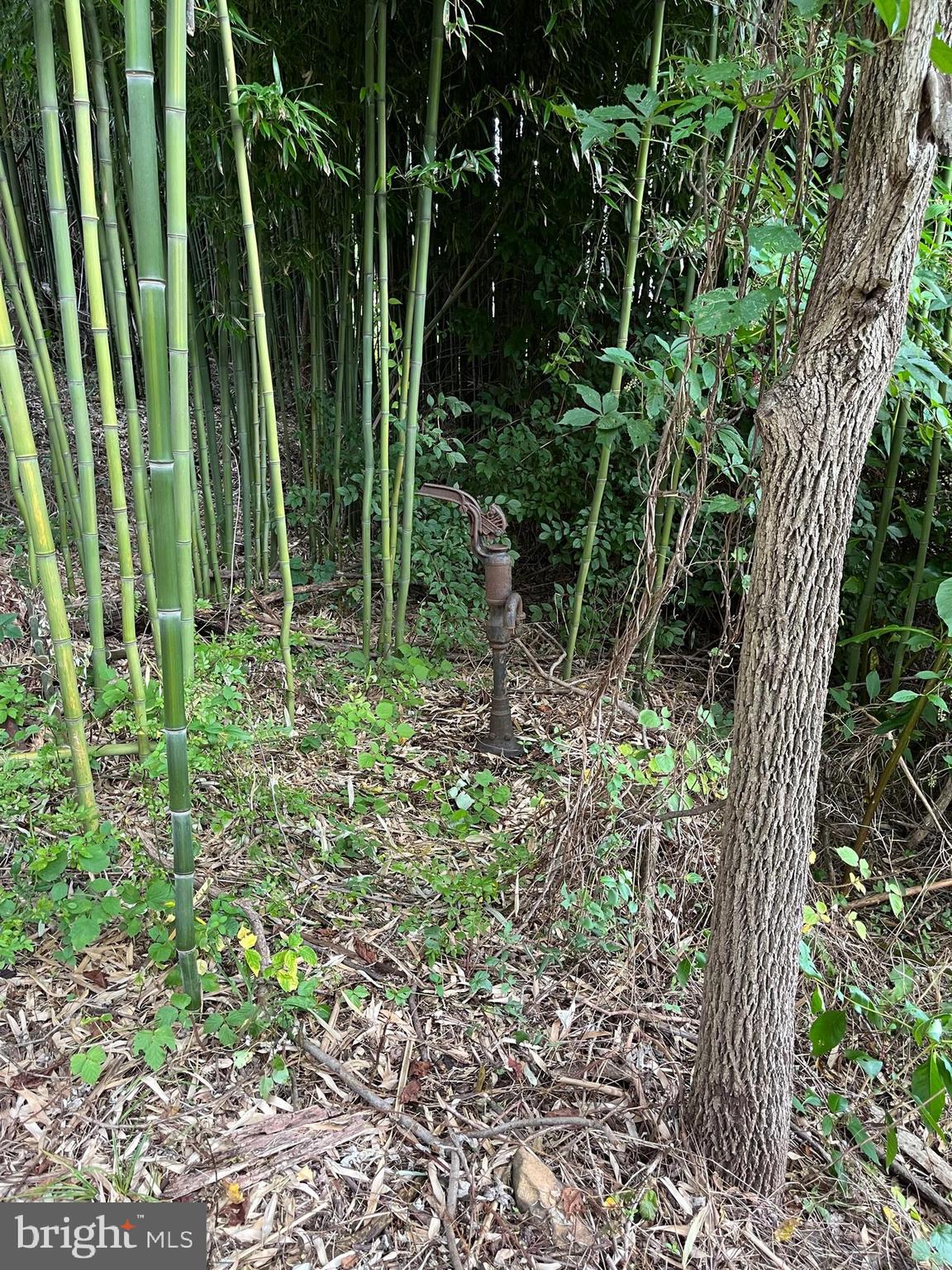136 Hill Road Barto, PA 19504 - Photo 34 of 34