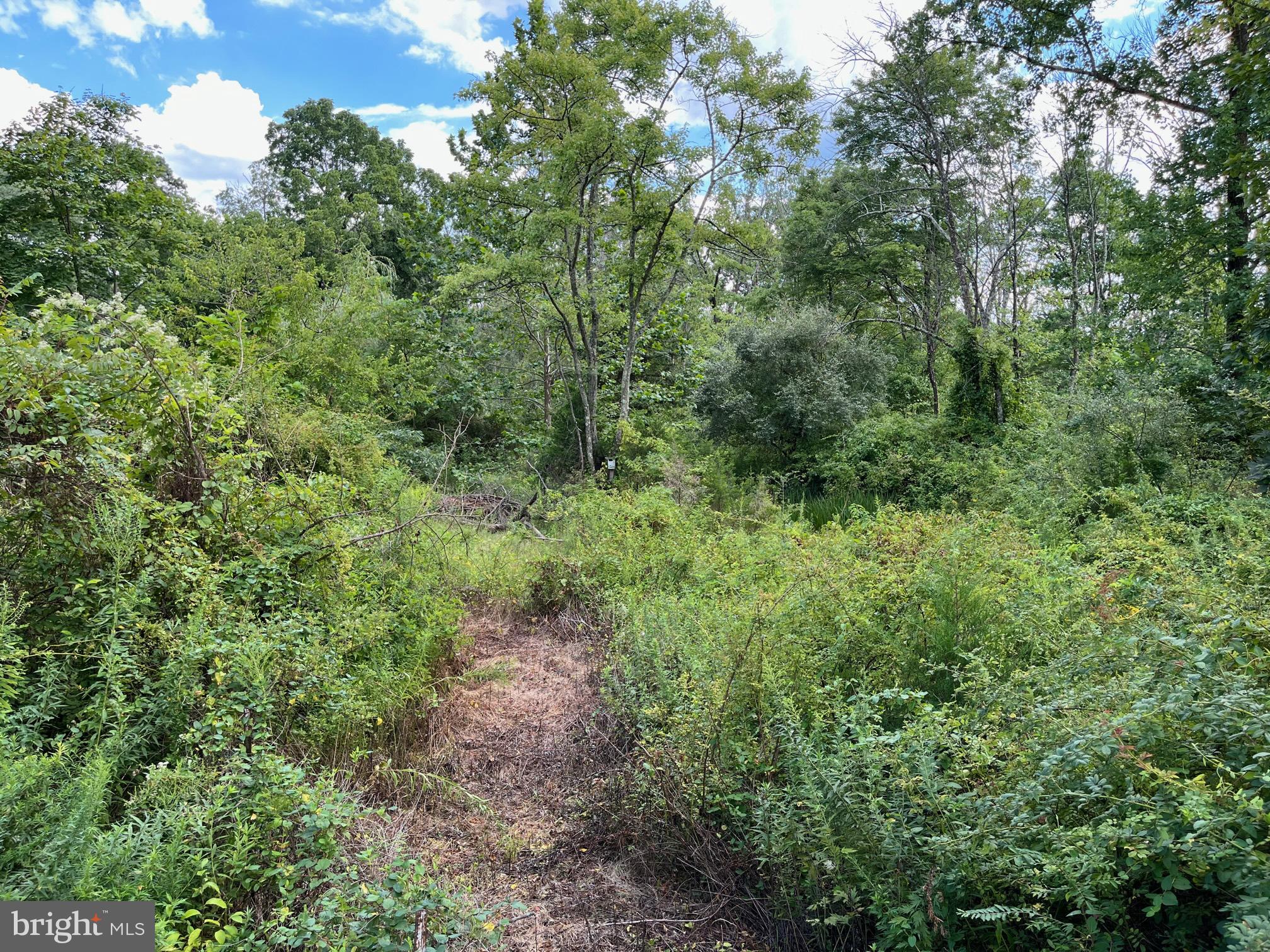 136 Hill Road Barto, PA 19504 - Photo 9 of 34