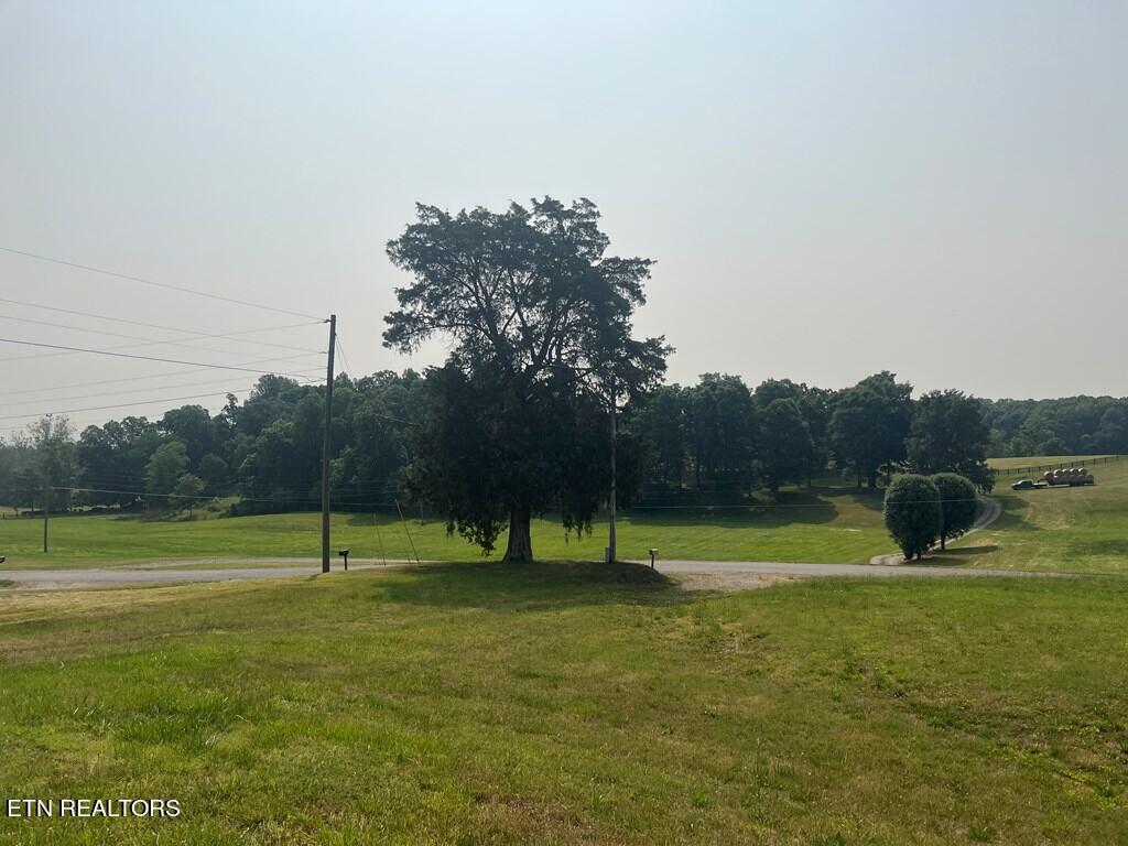406 Mt Zion Road Whitesburg, TN 37891 - Photo 4 of 20 MT ZION 4