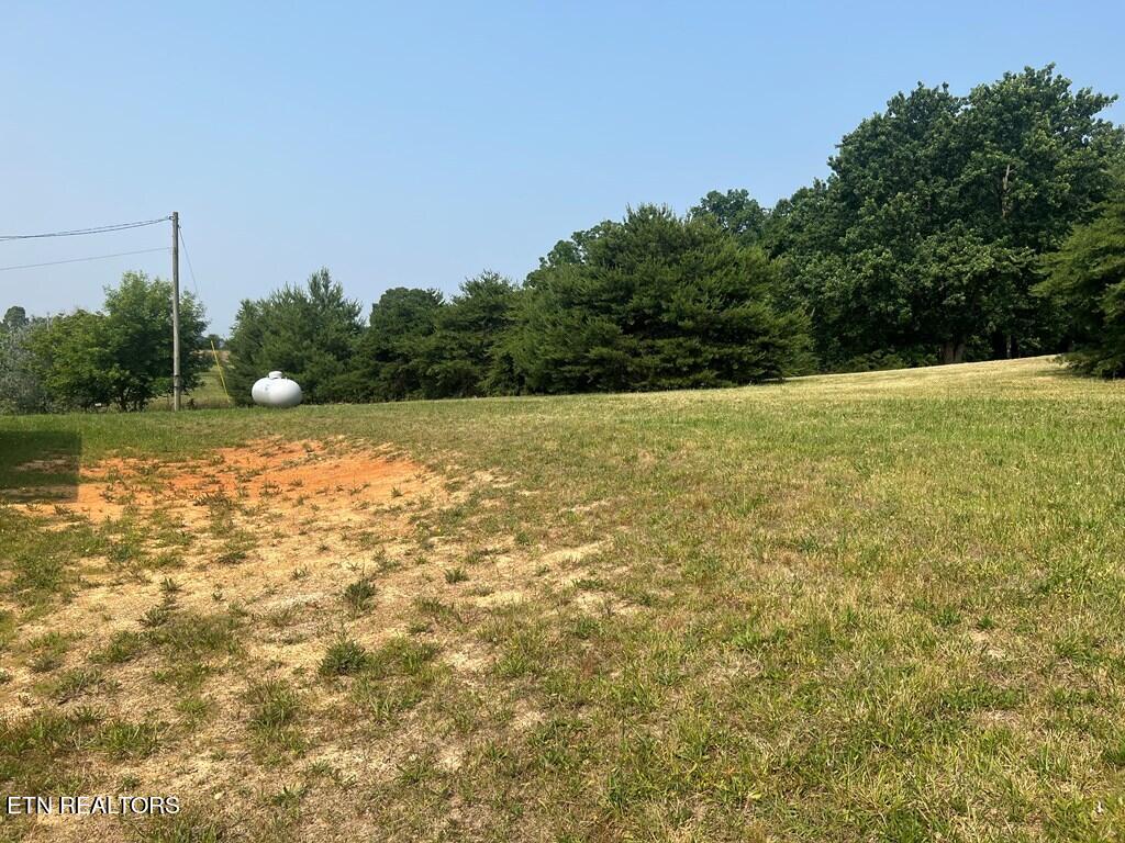 406 Mt Zion Road Whitesburg, TN 37891 - Photo 5 of 20 MT ZION 5