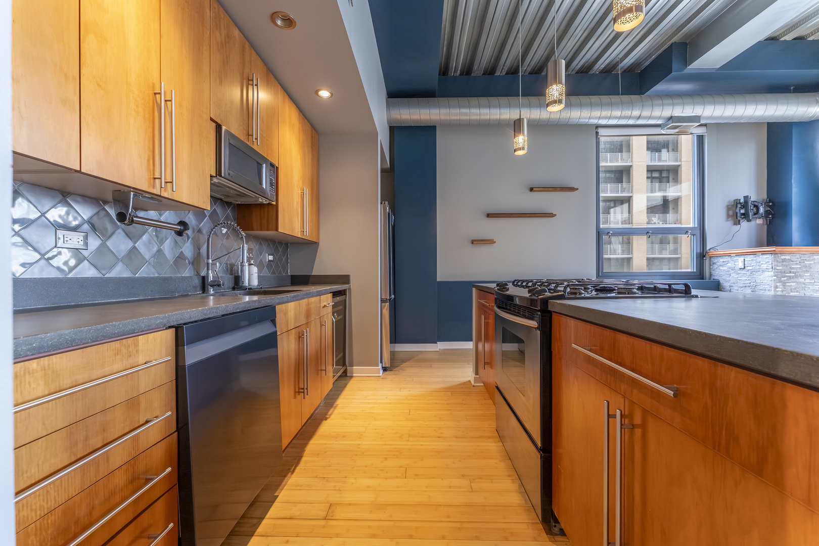 1910 South Indiana Avenue, Unit 421 Chicago, IL 60616 - Photo 3 of 28 a kitchen with stainless steel appliances granite countertop wooden cabinets a sink and dishwasher