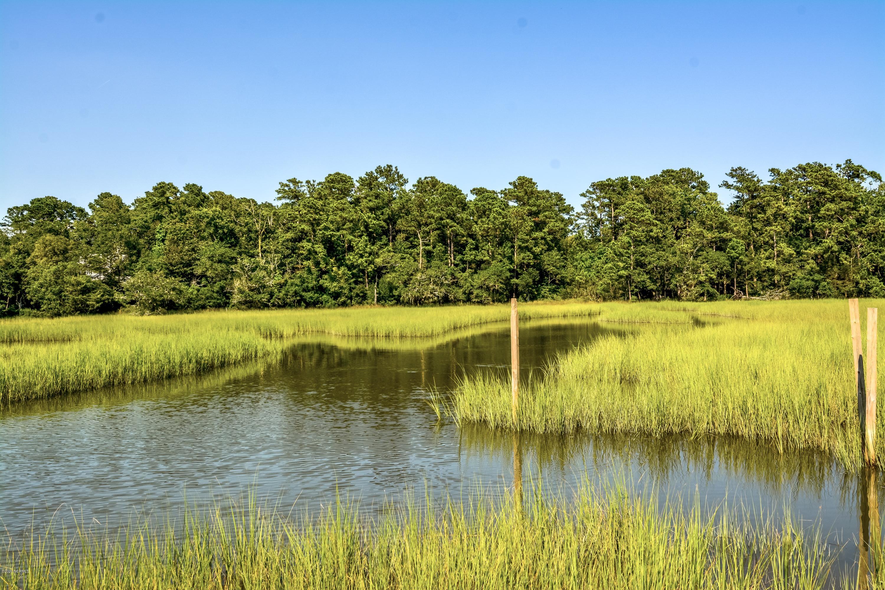 2908 Middle Sound Loop Road Wilmington, NC 28411 - Photo 46 of 52 20200714-_LCH9312