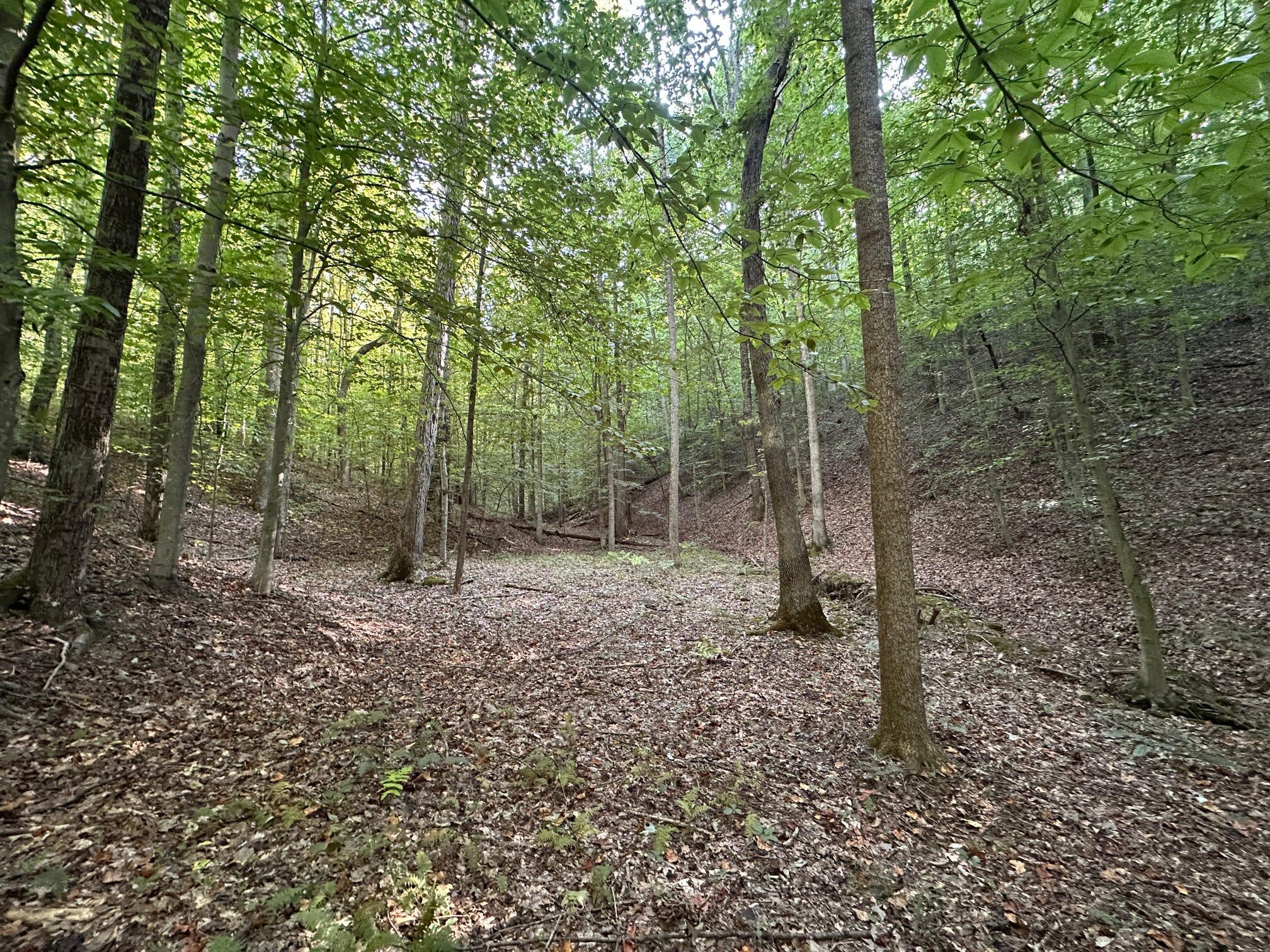1335 Greenbrier Road Wallingford, KY 41093 - Photo 50 of 50 Gallery Image 50