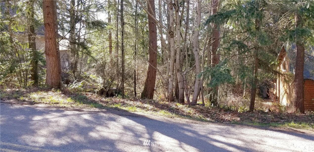 49 Agate Road Bellingham, WA 98226 - Photo 1 of 10 Gallery Image 1