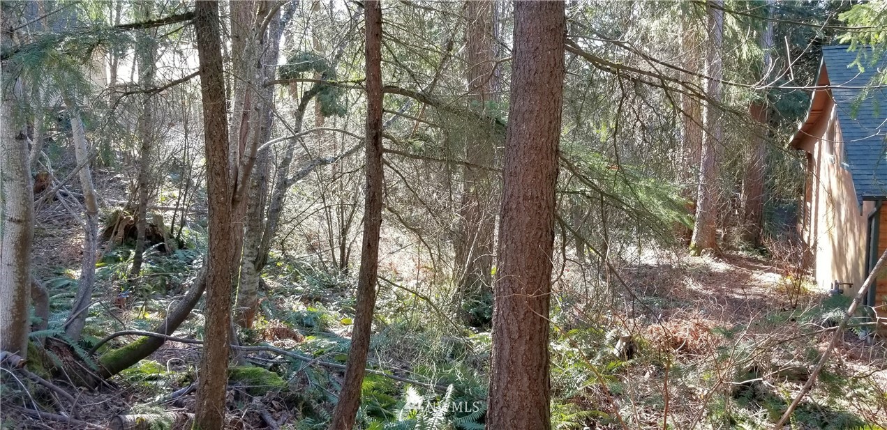49 Agate Road Bellingham, WA 98226 - Photo 2 of 10 Gallery Image 2