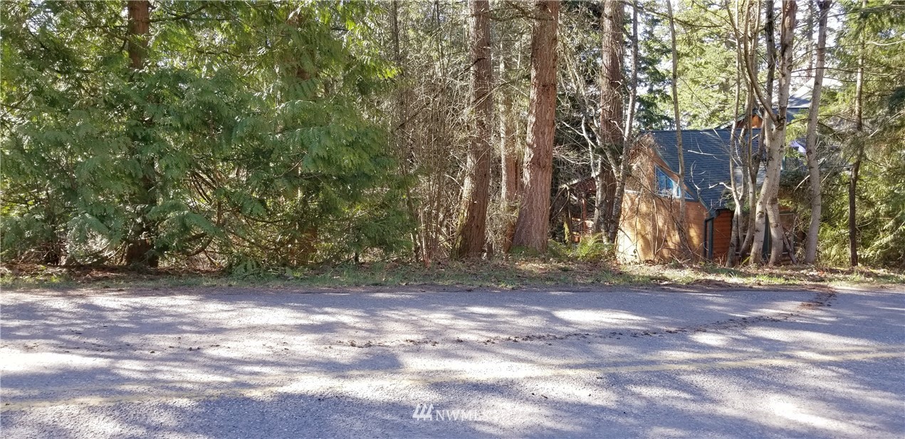 49 Agate Road Bellingham, WA 98226 - Photo 3 of 10 Gallery Image 3