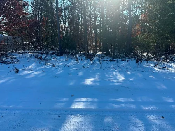 $6,900 | Lot 8 Edwin Road, Harrison, MI 48625