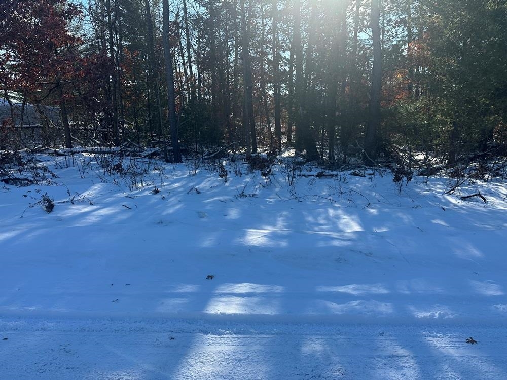 Lot 8 Edwin Road Harrison, MI 48625 - Photo 1 of 3