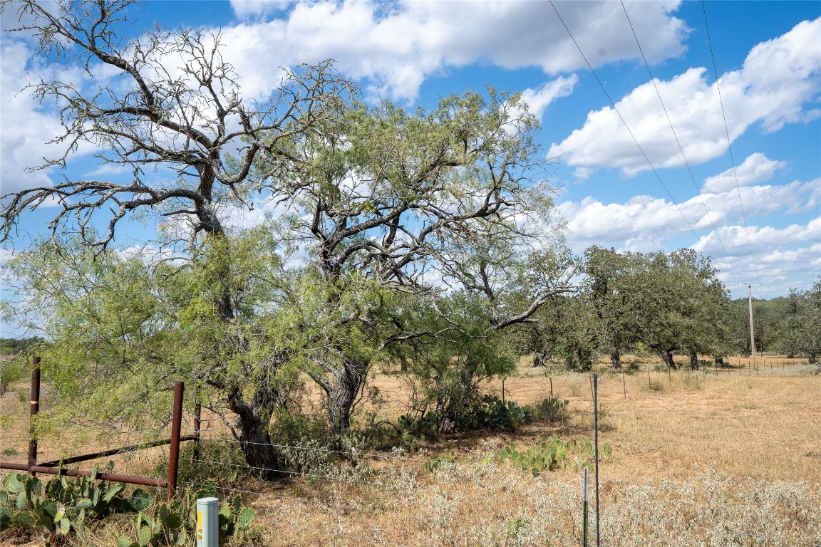 Tbd Nash Creek Road Kingsbury, TX 78638 - Photo 19 of 31 a view of a yard
