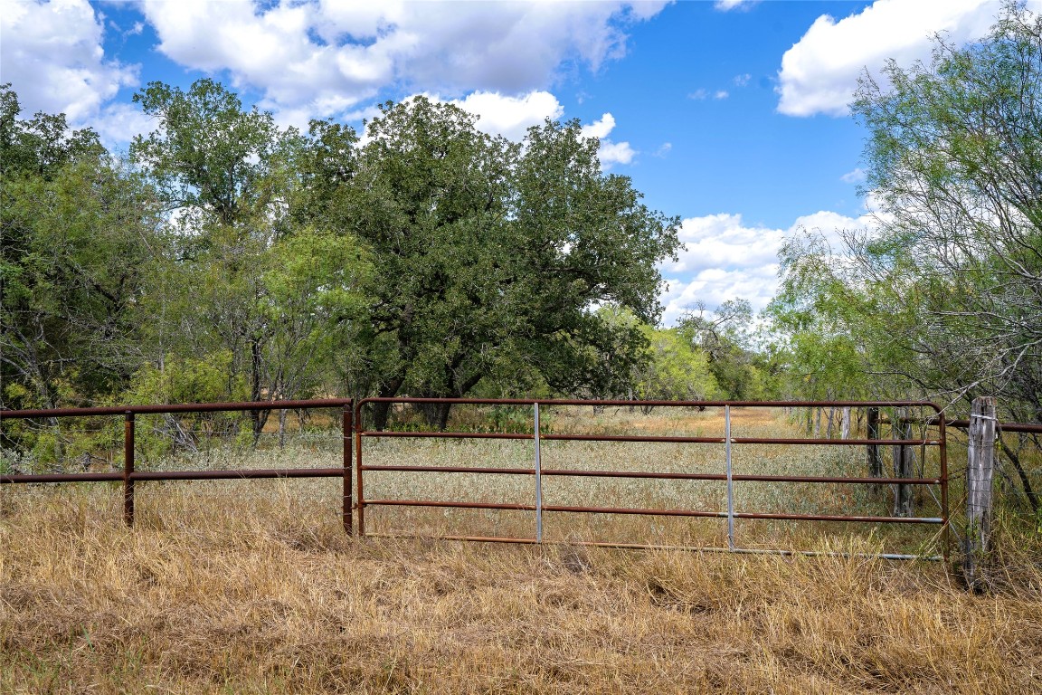 Tbd Nash Creek Road Kingsbury, TX 78638 - Photo 25 of 31 a view of a yard