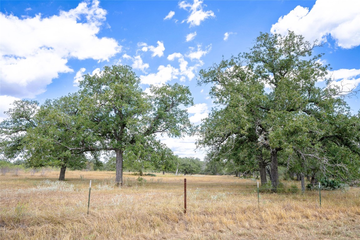 Tbd Nash Creek Road Kingsbury, TX 78638 - Photo 3 of 31 a view of a yard with a tree
