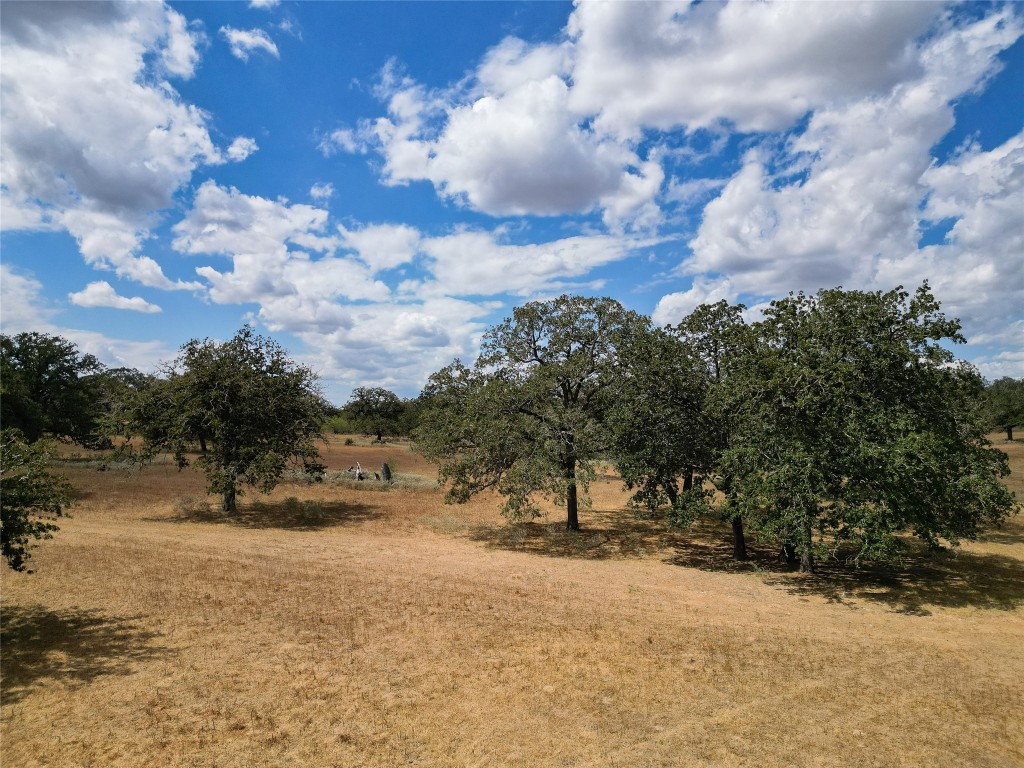 Tbd Nash Creek Road Kingsbury, TX 78638 - Photo 31 of 31 a view of a yard with a tree