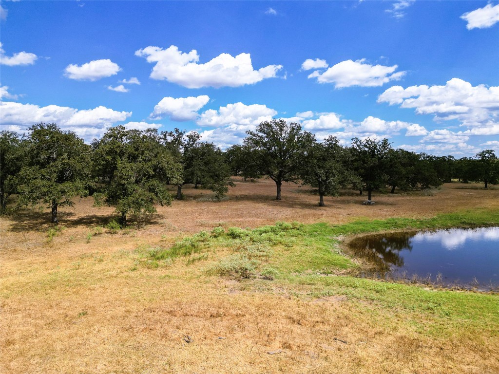 Tbd Nash Creek Road Kingsbury, TX 78638 - Photo 7 of 31 a view of a yard