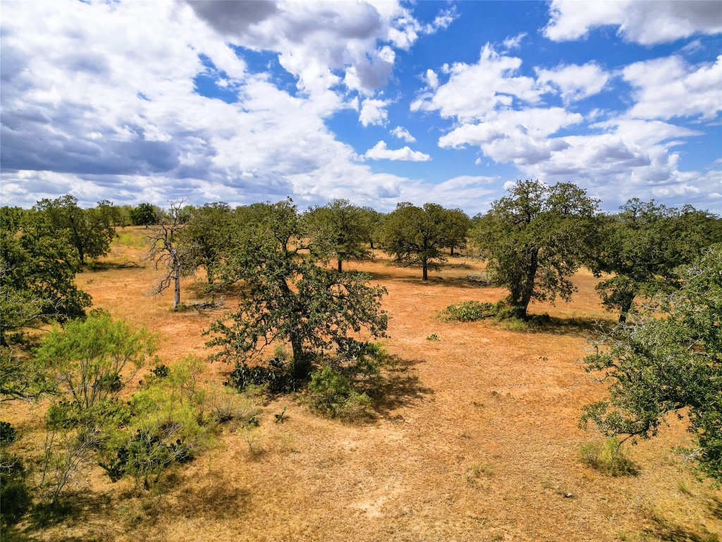 Tbd Nash Creek Road Kingsbury, TX 78638 - Photo 8 of 31 a view of lake