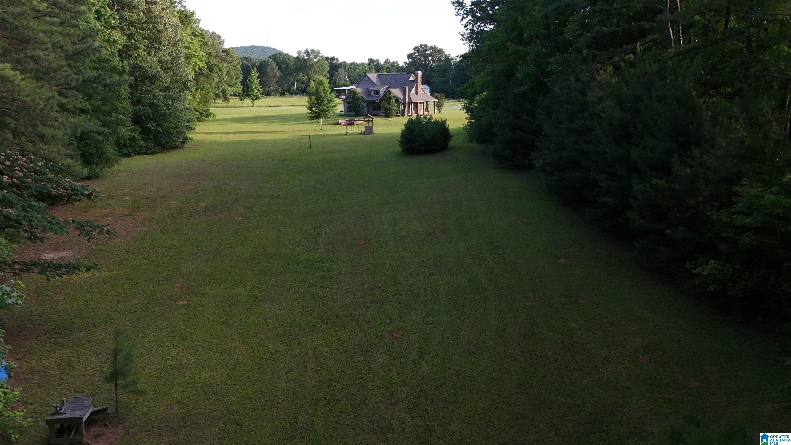 134 Glenn Road Wilsonville, AL 35186 - Photo 39 of 46