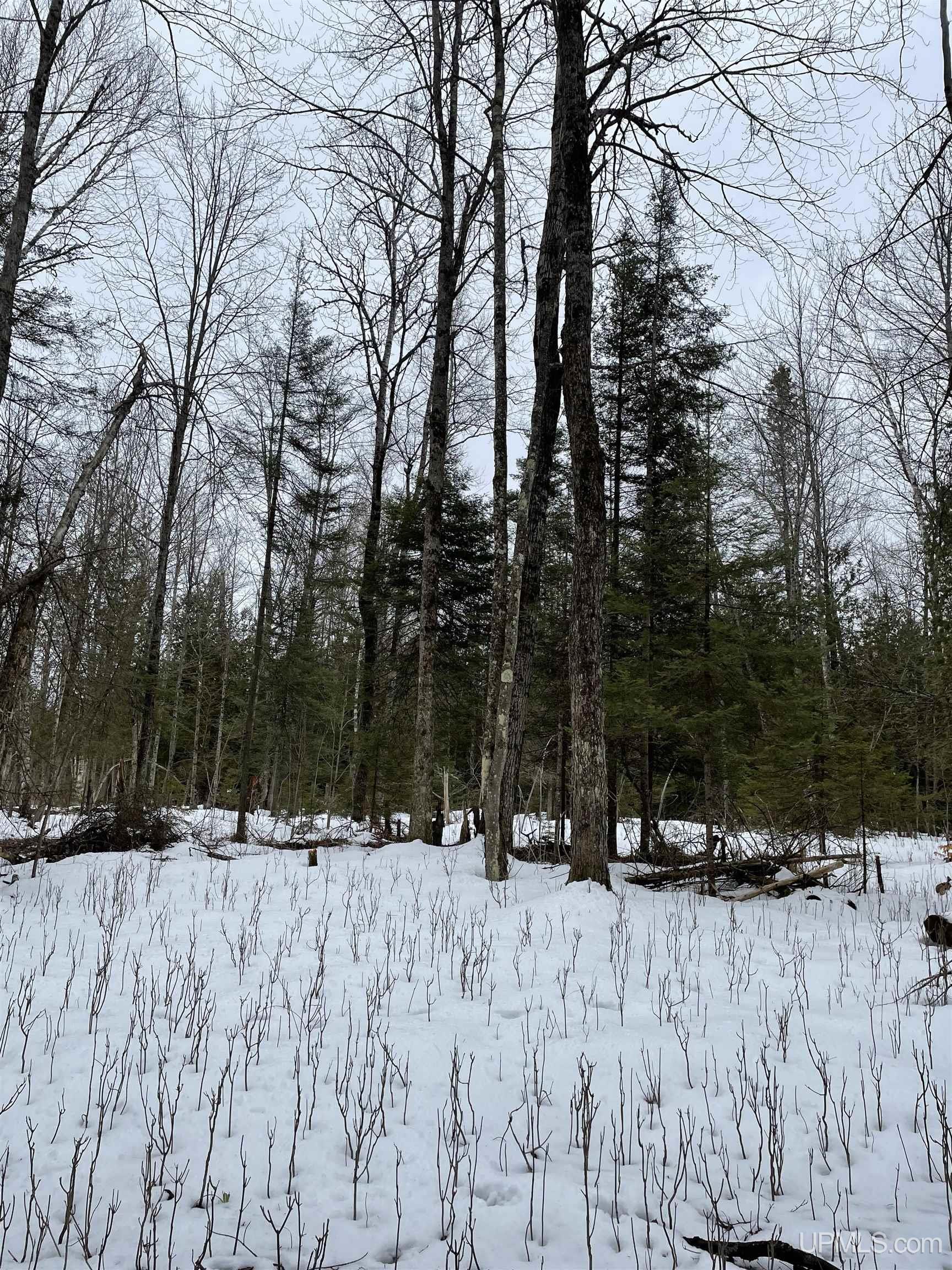 11128 Co Road Rapid River, MI 49878 - Photo 82 of 97